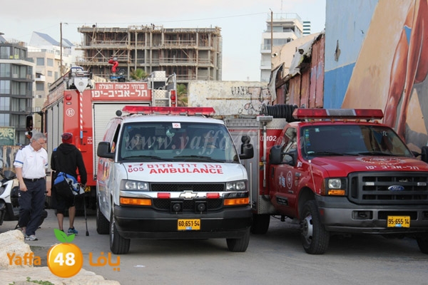 jotha northyaffa dolfan (15).JPG